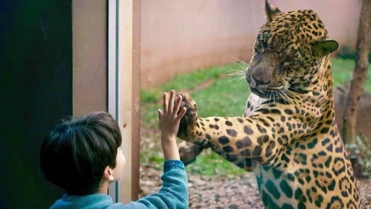 Imagem de vitrine